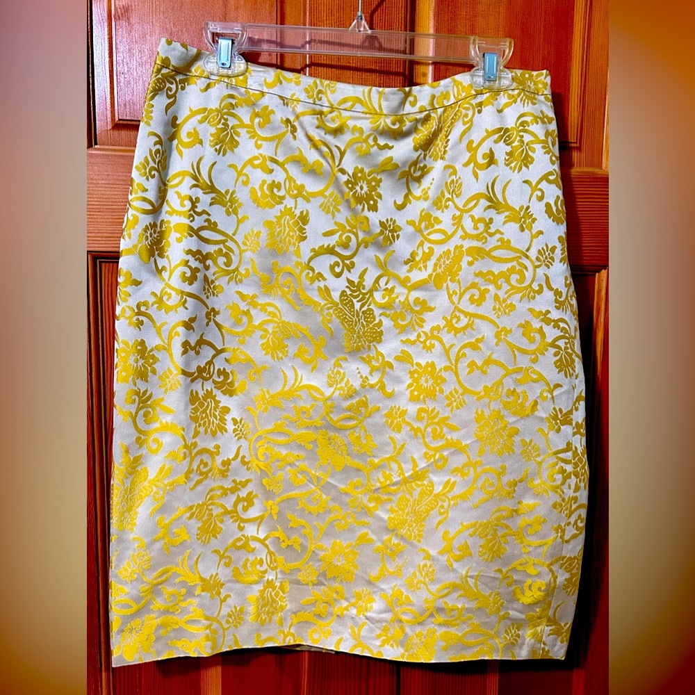 Banana Republic Women’s Skirt